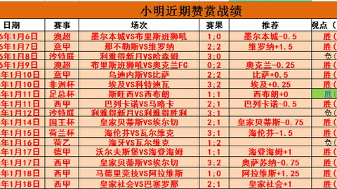 申花主场力克川崎前锋，亚冠赛场再获胜利